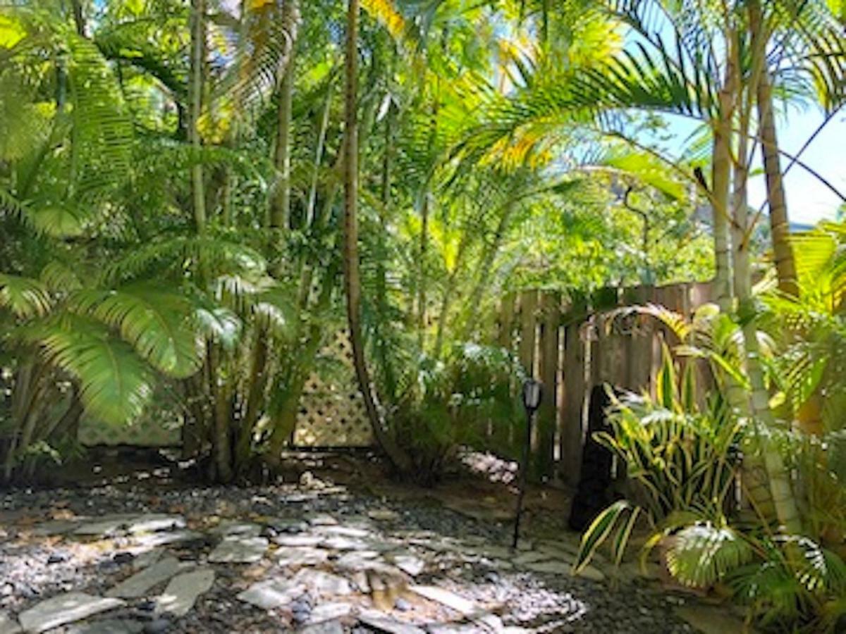 Lovely Relaxing Lanikai Studio, Legal Vacation Rental Kailua Exterior photo